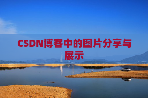 CSDN博客中的图片分享与展示